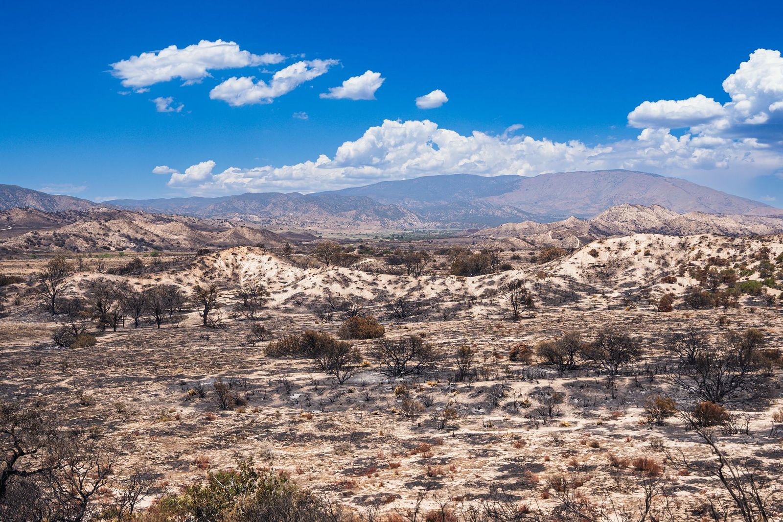 post fire damage